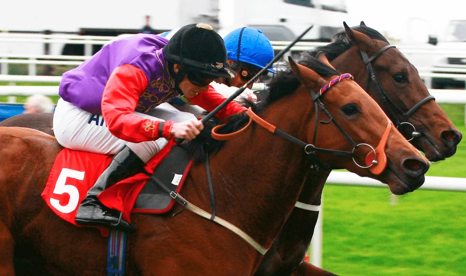 100 ordre turf || ordre turf || super ordre turf || 100/100 ordre turf || ordreturf
